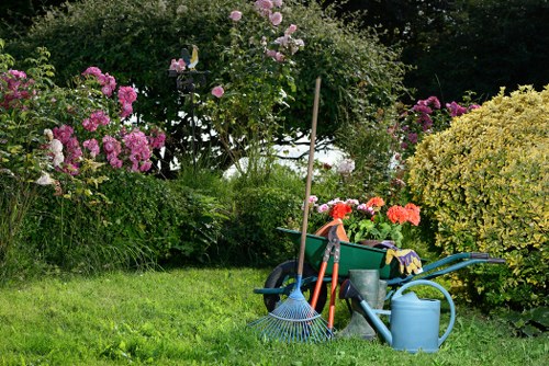 Stump grinding work being carried out in a Brompton garden