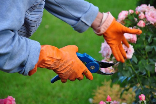 Secure online payment for Tree Surgeons Brompton