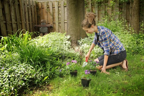 Clearing an old stump to prepare a Brompton outdoor space for landscaping