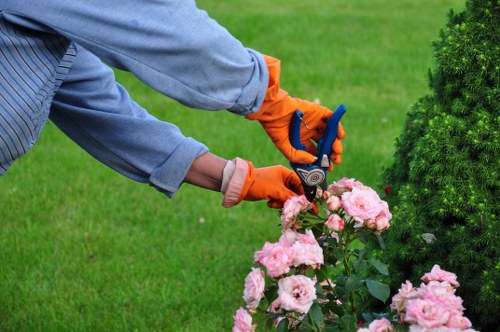 Inclusive website accessibility features for Tree Surgeons Brompton