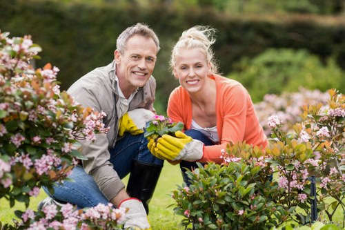 Regular hedge maintenance for Brompton residential and commercial sites